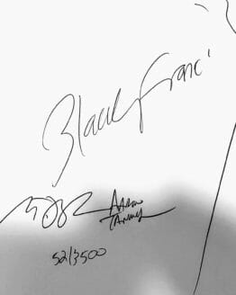 PIXIES: A Visual History, Volume 1 - Low Numbered Edition (#52) - Ding & Dent